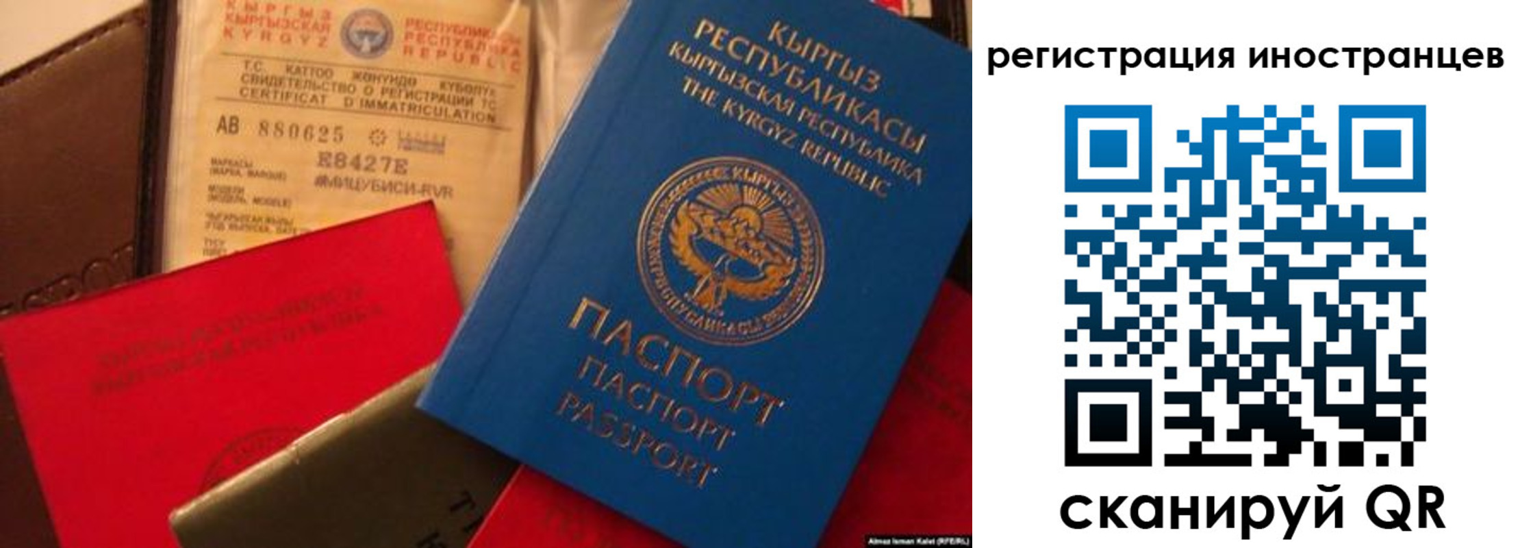 временная регистрация надежно в Волхове